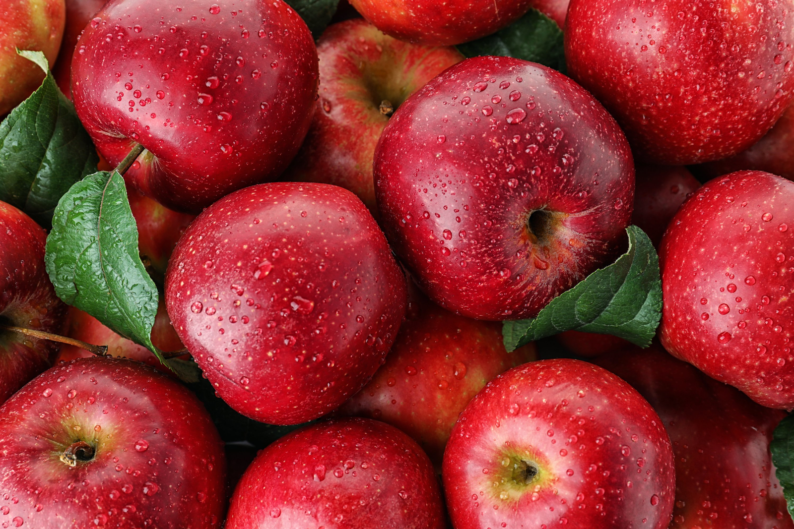 Quả Táo / Nền đỏ: Sự kết hợp giữa quả táo và nền đỏ tươi sáng tạo nên một bức ảnh đầy nghệ thuật và màu sắc. Nó có độ sâu, sự táo bạo và đầy tinh tế. Bức ảnh này sẽ là món quà đặc biệt cho những người thân yêu của bạn. Hãy tìm hiểu thêm và tạo ra những bức ảnh đẹp nhất của bạn.