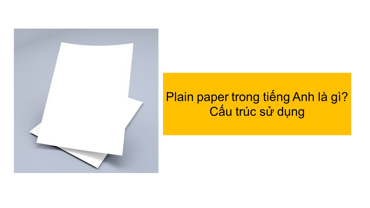 Tìm hiểu paper type là gì trong ngành in ấn và thiết kế